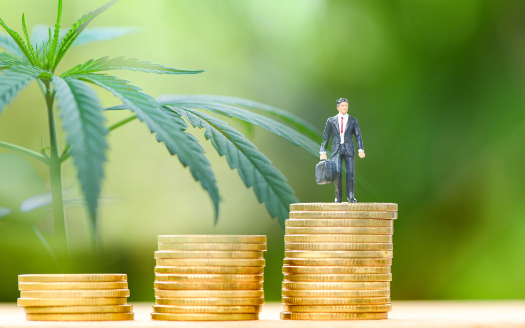 What to Avoid in Cannabis Accounting